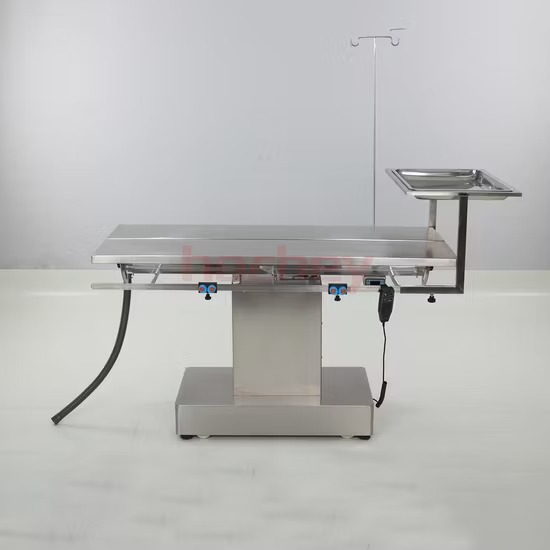 수의학 수술용 스테인레스 스틸 애완 동물 B